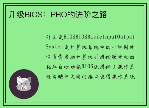 升级BIOS：PRO的进阶之路